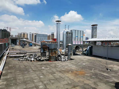 广西立德家居厂打磨除尘器